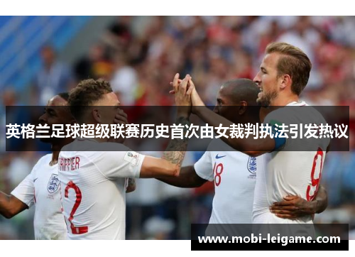 英格兰足球超级联赛历史首次由女裁判执法引发热议