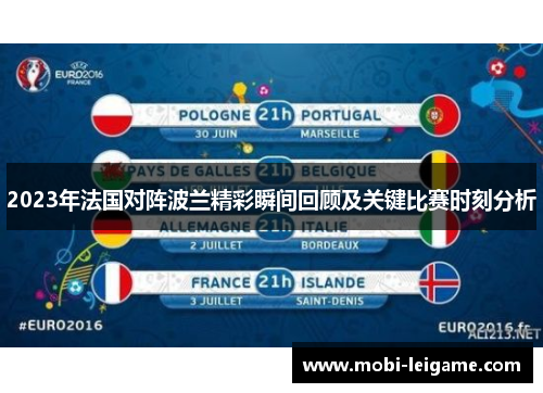 2023年法国对阵波兰精彩瞬间回顾及关键比赛时刻分析
