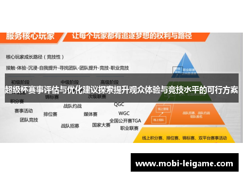 超级杯赛事评估与优化建议探索提升观众体验与竞技水平的可行方案