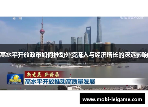 高水平开放政策如何推动外资流入与经济增长的深远影响